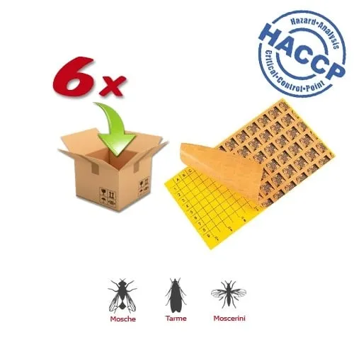 6xPiastra Collante compatibile con CHAMELEON