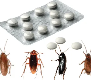 Attrattivo per blatte