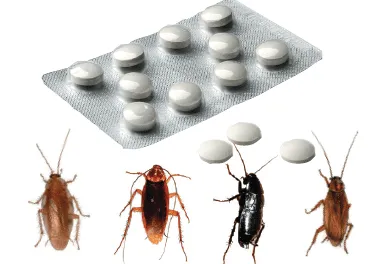 Attrattivo per blatte