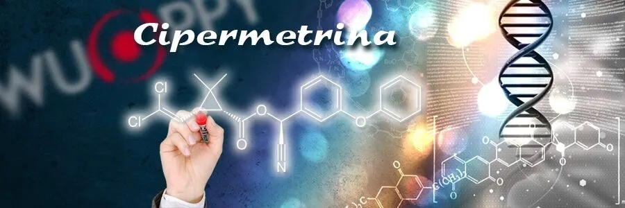 Al momento stai visualizzando Cipermetrina, il principio attivo più economico
