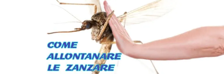 Come allontanare le zanzare