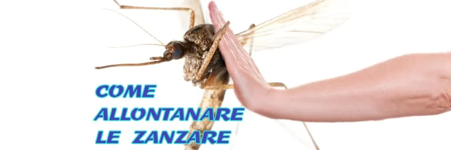 Al momento stai visualizzando Come allontanare le zanzare con la prevenzione