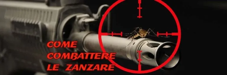 Come combattere le zanzare