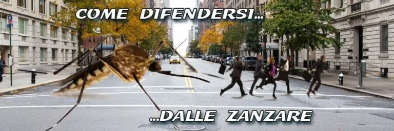 Come difendersi dalle zanzare