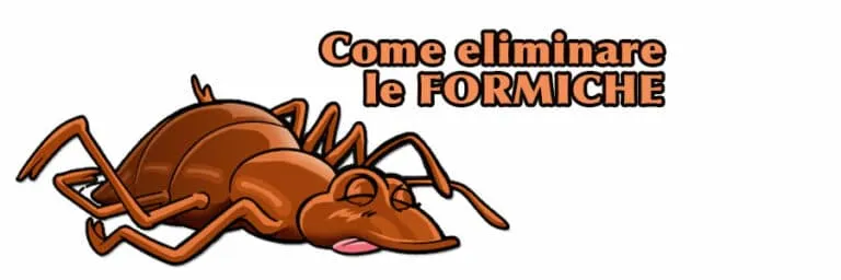 Come eliminare le formiche
