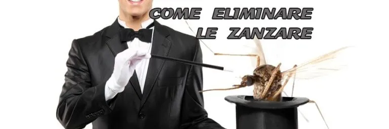 come eliminare le zanzare