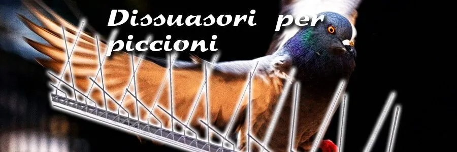 Al momento stai visualizzando Come scacciare i piccioni molesti?