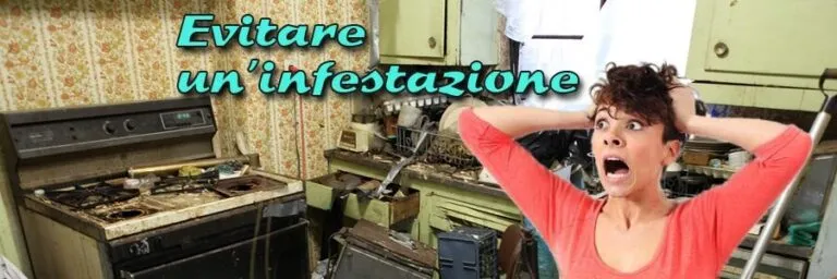 Infestazione Appartamento