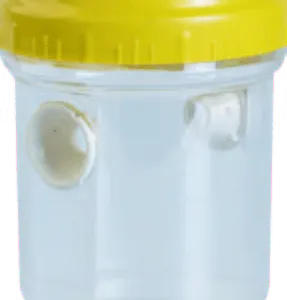 Fruit fly trap
