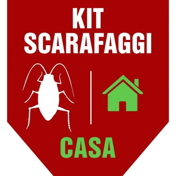 KIT Disinfestazione Scarafaggi - Home