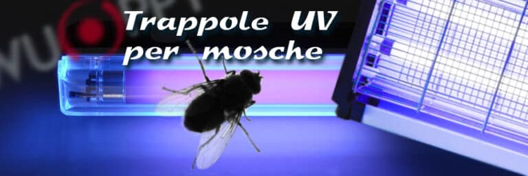 Lampade UV per il controllo delle mosche