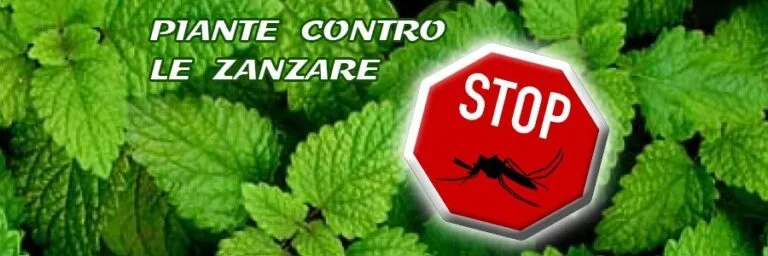 Piante contro le zanzare