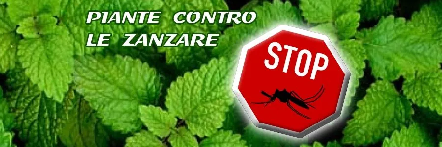 Al momento stai visualizzando Piante contro le zanzare. I sistemi naturali