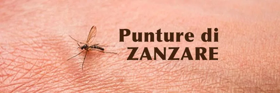 Al momento stai visualizzando Punture di zanzare | Quali pericoli si incorrono?