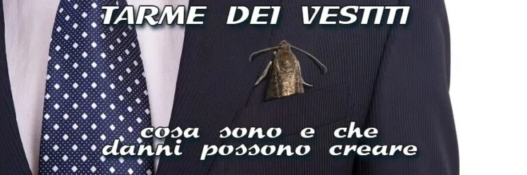 Tarme dei Vestiti
