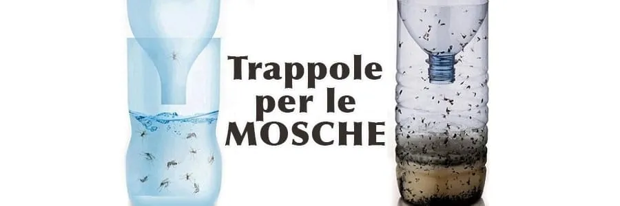 Al momento stai visualizzando Trappola per mosche | Ecco come realizzarla