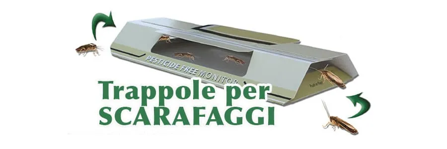 Al momento stai visualizzando Trappole per scarafaggi. Consigli utili