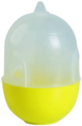 Wasp Trap