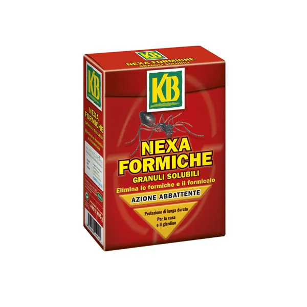 Nexa Formiche - immagine 2