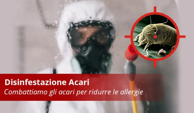 Disinfestazione Acari Professionale