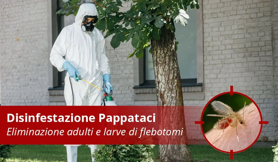 Disinfestazione Pappataci e Flebotomi Professionale