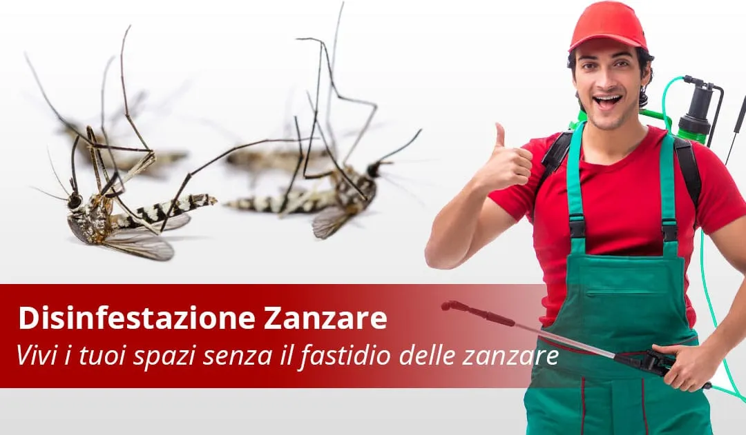Disinfestazione-Zanzare