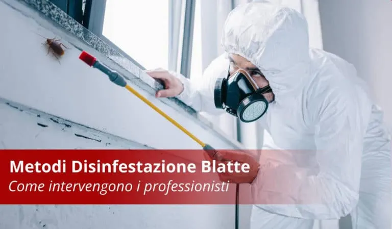 Disinfestazione Blatte Professionale