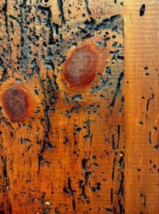 superficie di legno con fori creati dai tarli